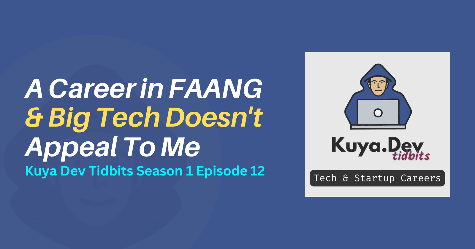 A Career in FAANG/Big Tech Doesn't Appeal To Me